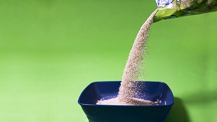 Cat litter disposal: your at-a-glance guide