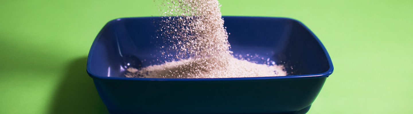 Cat litter pouring into blue cat litter tray