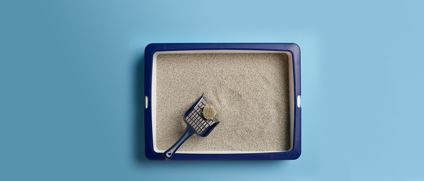 Litter box cleaning tips 2025